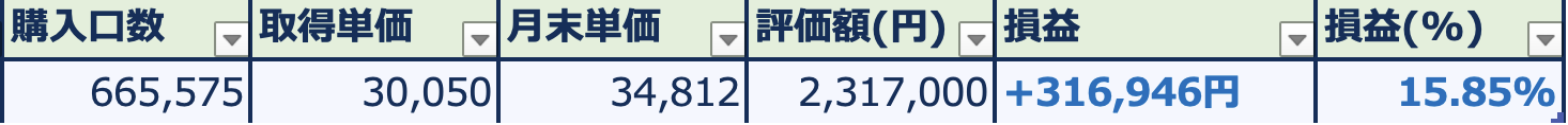 新NISA投資実績